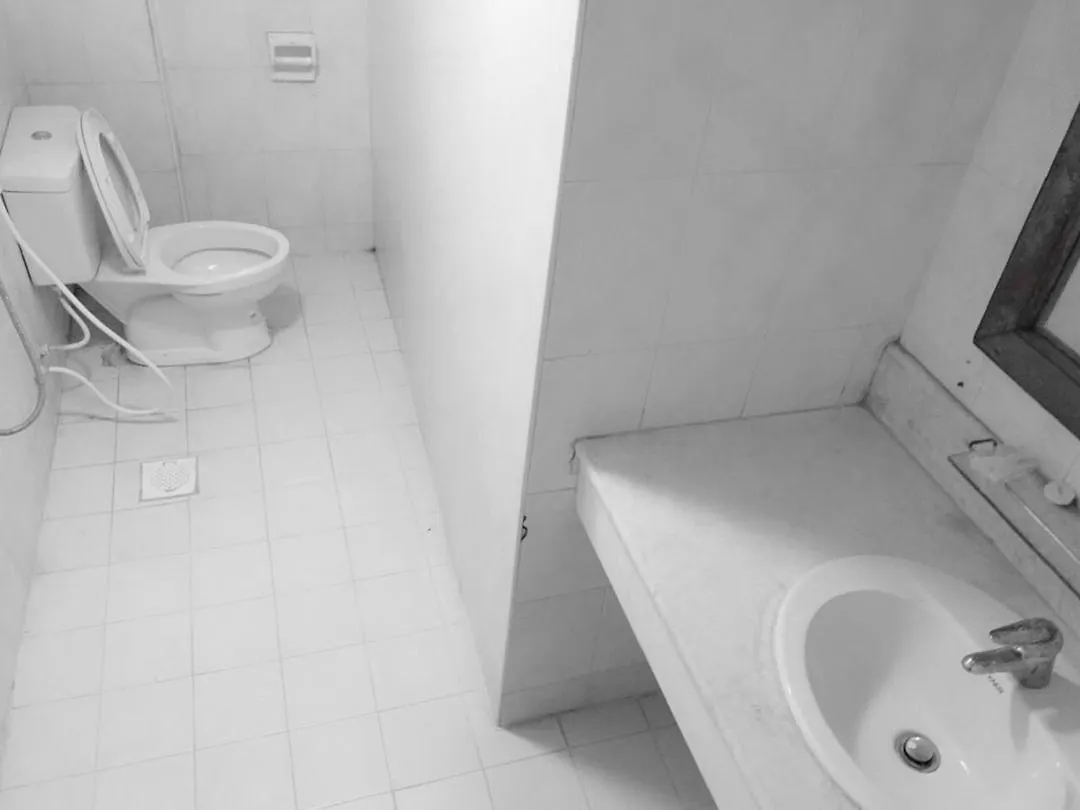Lanmadaw Plaza Hotel China Town Rangoon 3*,